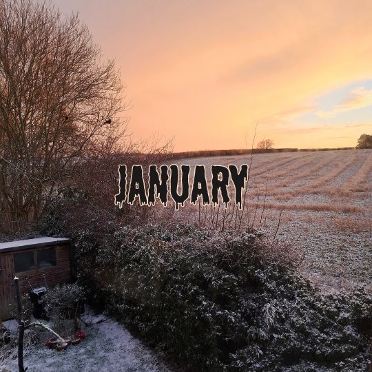 Halloween life 365 January