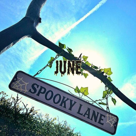 Halloween life 365 June