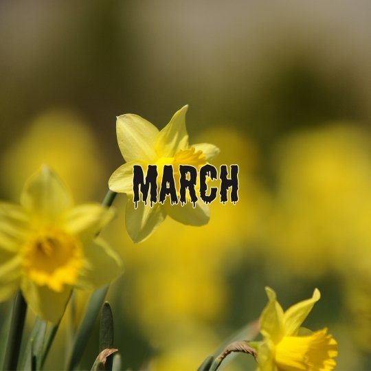 Halloween life 365 March