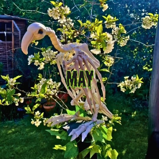 Halloween life 265 May