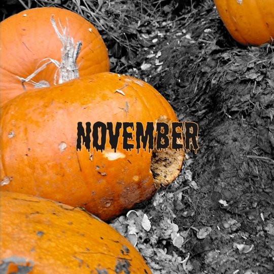 Halloween life 365 November