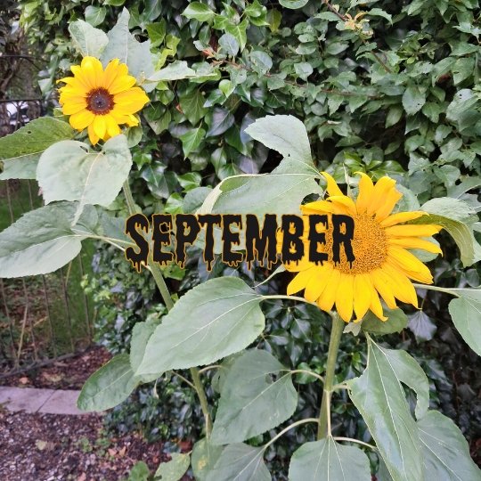 Halloween life 365 September